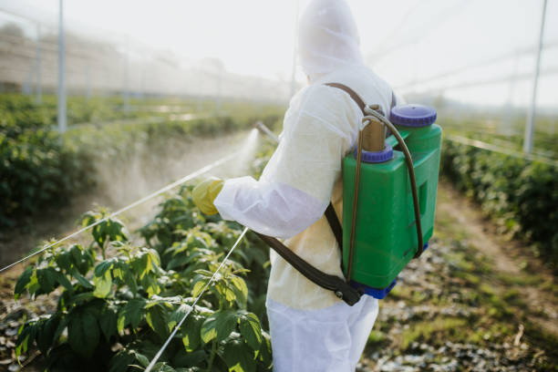 Bird Control in Hephzibah, GA